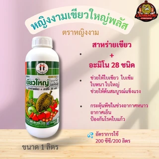 หญิงงามเขียวใหญ่พลัส 1 ลิตร สาหร่าย+อมิโน 28 ชนิด เขียวใหญ่ ใบหนา