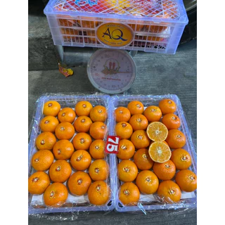 ส่งด่วน 4 ชม❤️.ส้มไต้หวัน (ยี่ห้อขายดี) ส้มเอเชียที่อร่อยที่สุด เปิดฤดูกาลแล้ว ขายดีสุดๆทุกปี