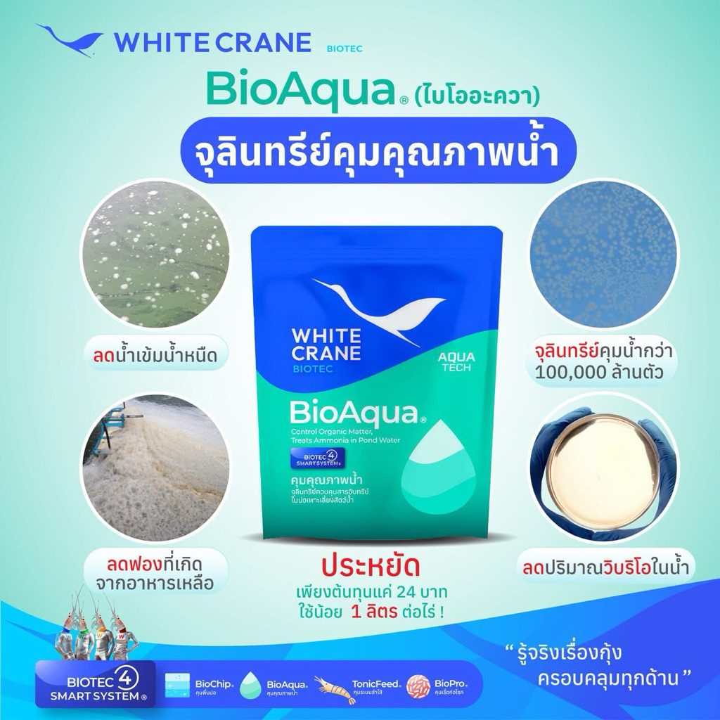 ไบโออะควา จุลินทรีย์ ลดน้ำเขียว ลดสีน้ำ ชนิดเม็ด หมักก่อนลงบ่อ
