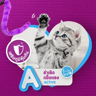 [ยกลัง x28] Whiskas วิสกัส อาหารเปียกแมว 80 กรัม สูตรแมวโต แมวเด็ก แมวสูงอายุ