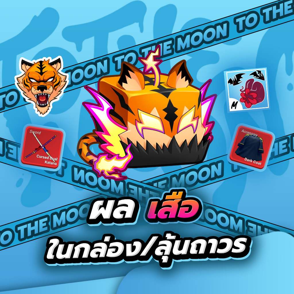 รูปภาพ 5