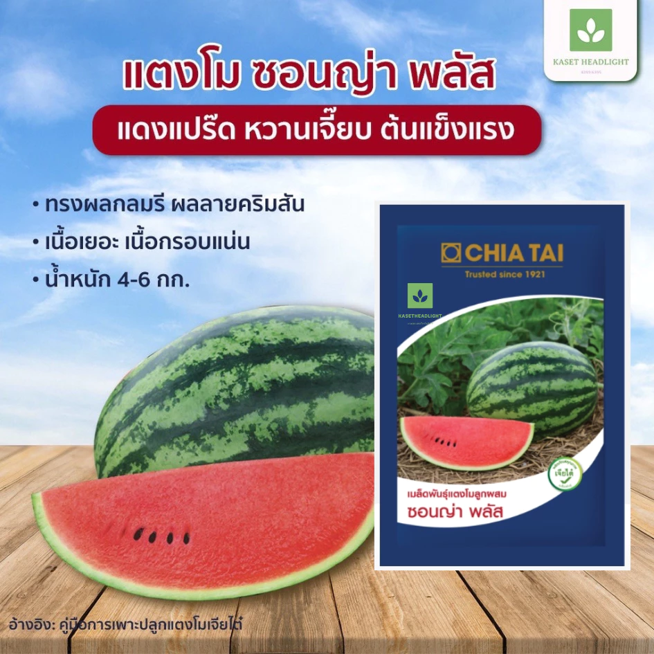 40กรัม/ซอง ซอนญ่า พลัส เมล็ดพันธุ์แตงโม เจียไต๋ ซอนย่า พลัส แตงโมซอนญ่าพลัส