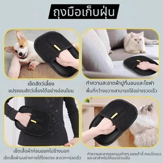Boqi Factory ถุงมือกําจัดขนสัตว์เลี้ยง แบบใช้ซ้ําได้สําหรับสัตว์เลี้ยง ถุงมือแปรงขน CL99