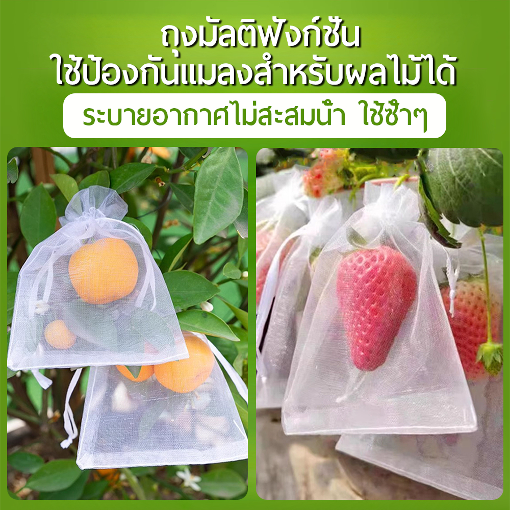 รูปภาพ 4