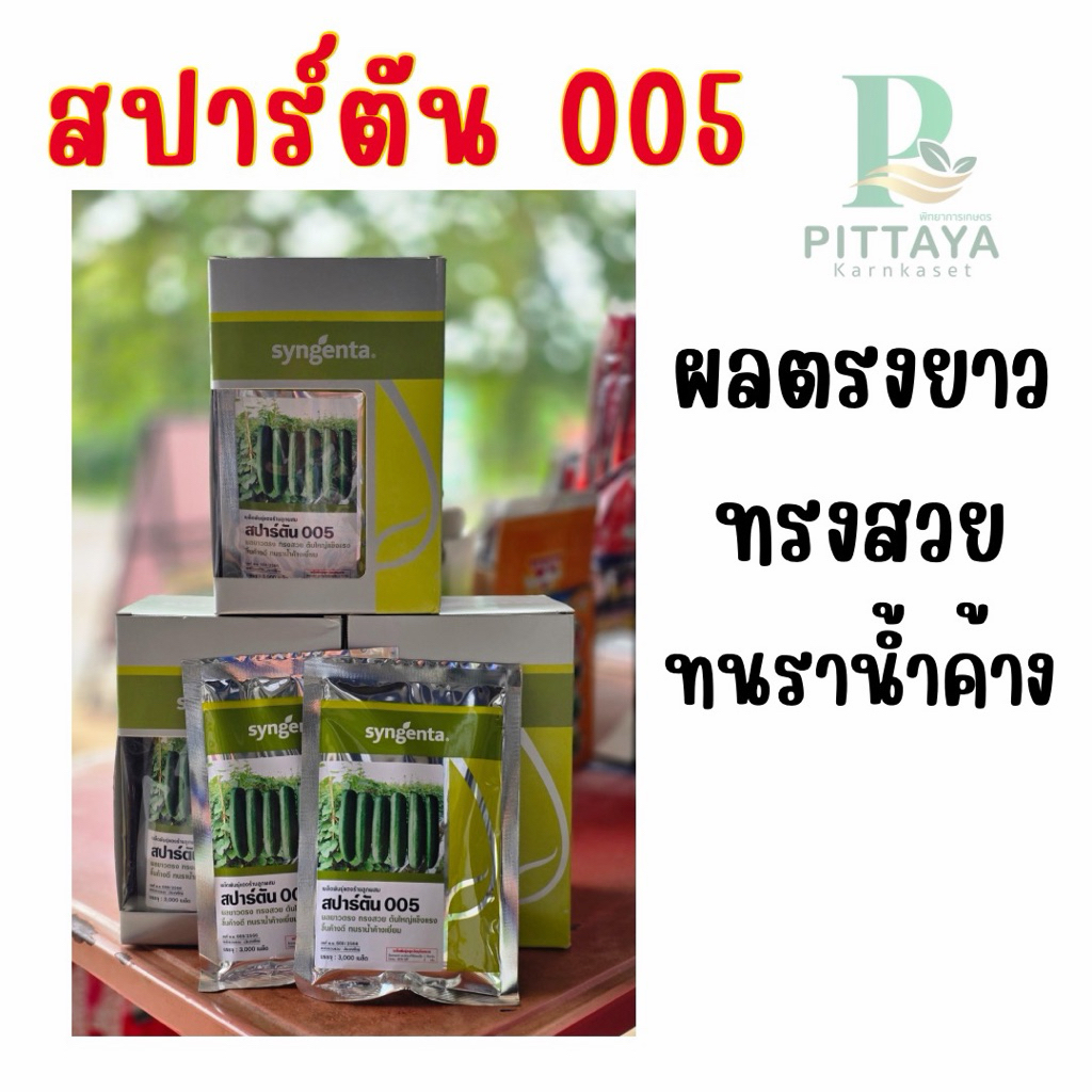 แตงร้าน สปาร์ตัน 005 บรรจุ 3000 เมล็ด ตรา ซินเจนทา ( ล็อตใหม่ )