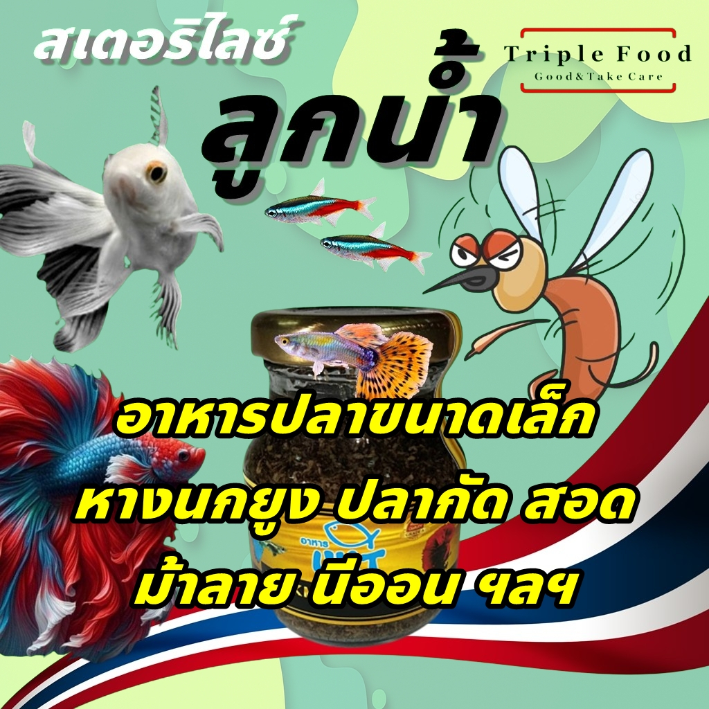 อาหารปลา ลูกน้ำ UHT Fish Food อาหารปลากัด ปลาหางนกยูง ปลาบอลลูน ปลาสวยงาม ปลานีออน ลูกน้ำสด ลูกน้ำปล