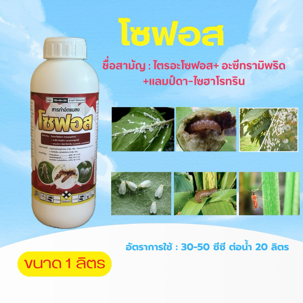 โซฟอส (ขนาด 1 ลิตร)ไตรอะโซฟอส 40%+อะซีทรามิพริด+แลมป์ดา-ไซฮาโลทริน  ออกฤทธิ์กินตาย ถูกตัวตาย แมลงปากดูด แมลงปีกแข็ง