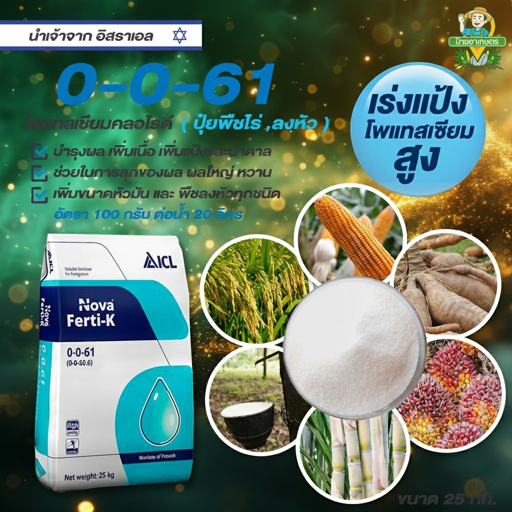 ปุ๋ยเกล็ด 0-0-61 (25 กิโลกรัม) ICL โพแทสเซียมคลอไรด์ สร้างเนื้อ ขยายผล เพิ่มน้ำหนัก สะสมแป้ง น้ำตาล