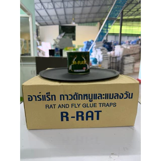 (ยกโหล) กาวดักหนูสำเร็จ ถาดกาวดักหนู ราคาถูก คุณภาพดี
