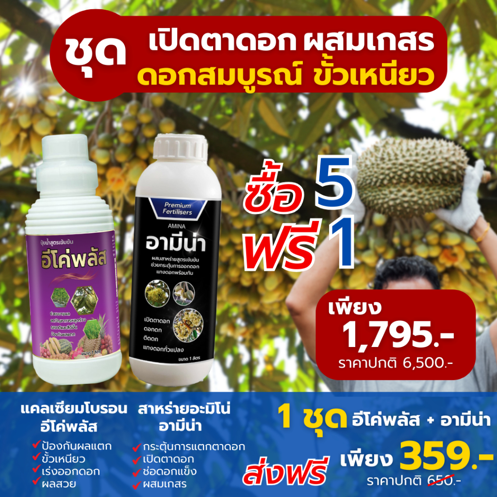 ชุดคู่ พิชิตทุเรียน เปิดตาดอก ผสมเกสร ดอกสมบูรณ์ ขั้วเหนียว ขนาด 1ลิตร