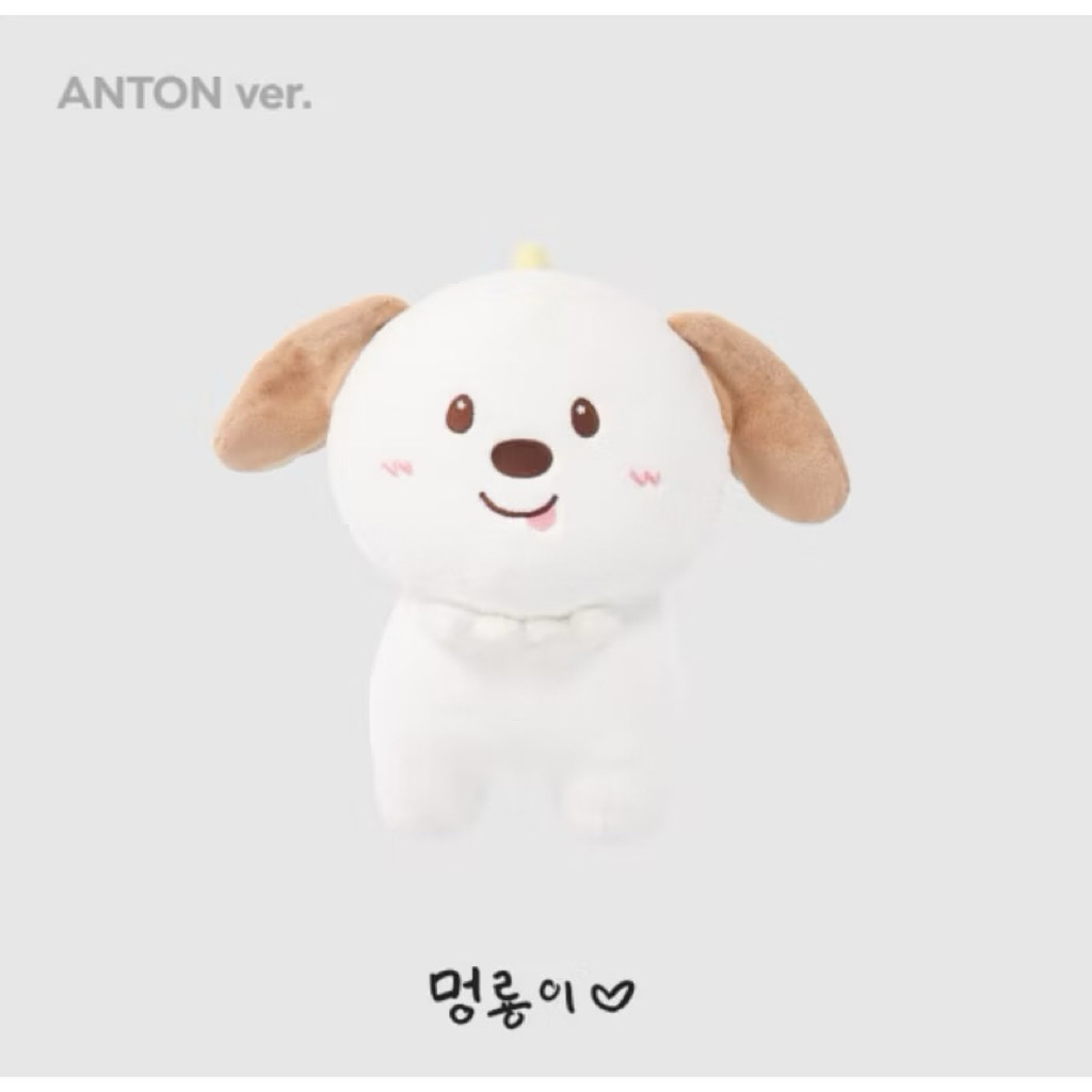 Riize 40 cm doll (Anton ver.) / ส่งต่อ 🐶