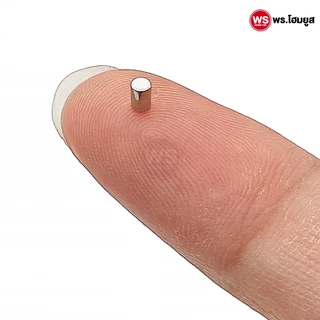 ขายต่อ 10 ตัว / เกรด N52 เส้นผ่านศูนย์กลาง 2 mm มม. แม่เหล็ก diy แรงสูง เกรดดีคุณภาพ 2mm N52