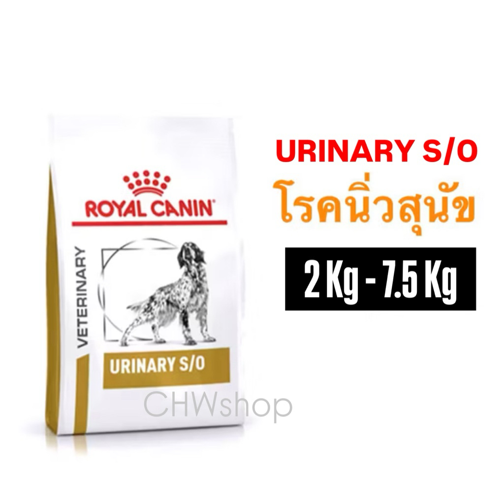 Royal Canin สูตรสุนัขโต Urinary S/O ขนาด 2-7.5Kg สุนัขสูตรรักษานิ่ว Urinary Dog ประกอบการรักษาโรคนิ่วสุนัข