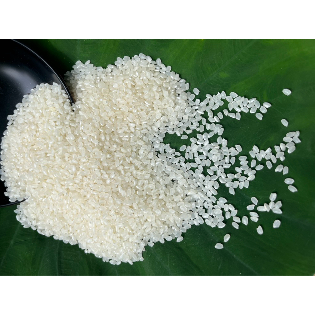 ข้าวญี่ปุ่น ข้าวใหม่ กระสอบละ 5 Kg.อิคิตะโคมะจิ 新日本大米