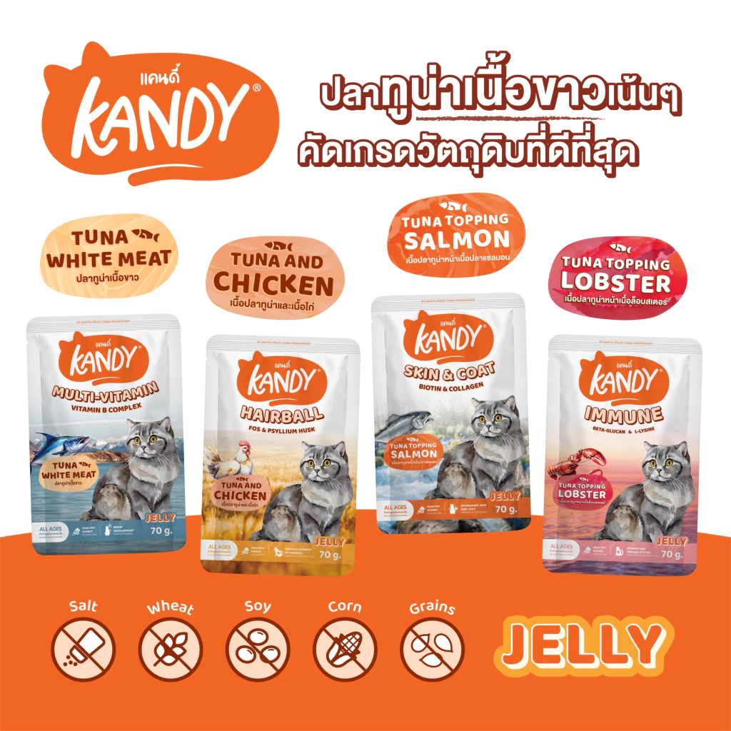 (ยกลัง 48 ซอง) Kandy Cat Wet Food 70g. อาหารแมวแคนดี้ ชนิดเปียก ขนาดซองละ 70 กรัม