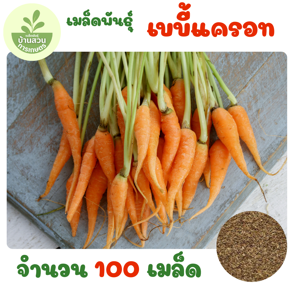 เมล็ดพันธุ์เบบี้แครอท จำนวน 100 เมล็ด