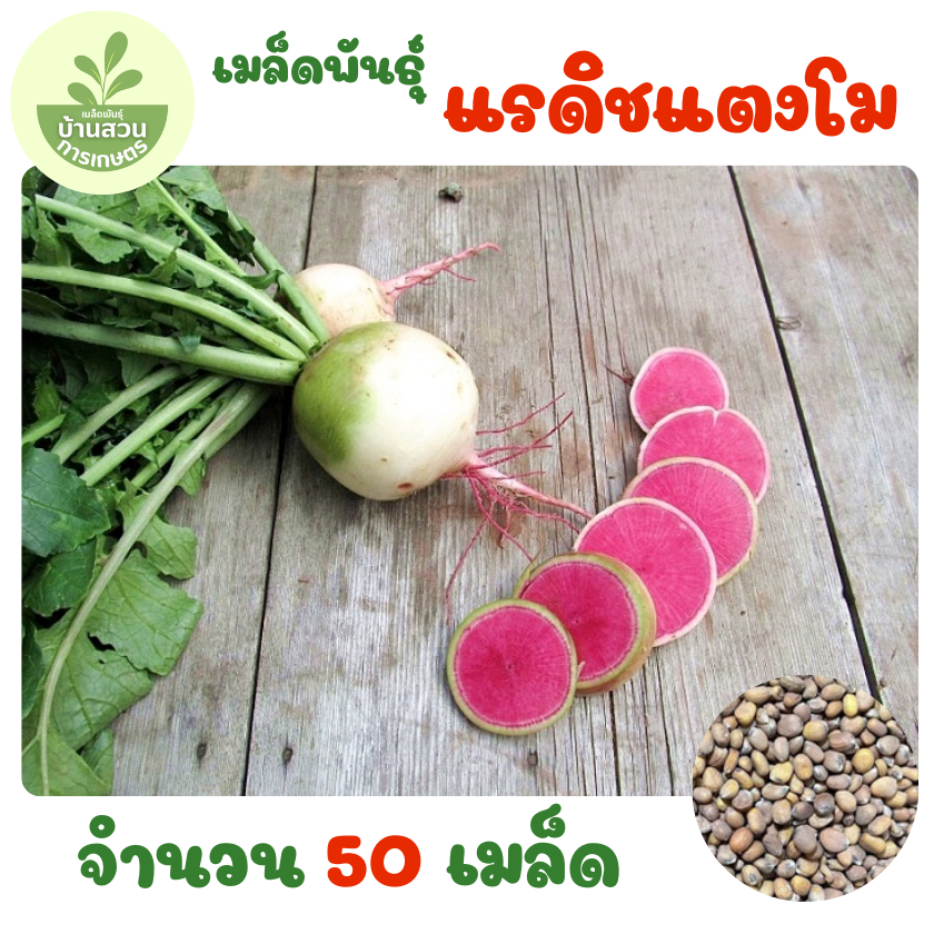 เมล็ดพันธุ์แรดิชแตงโม จำนวน 50 เมล็ด