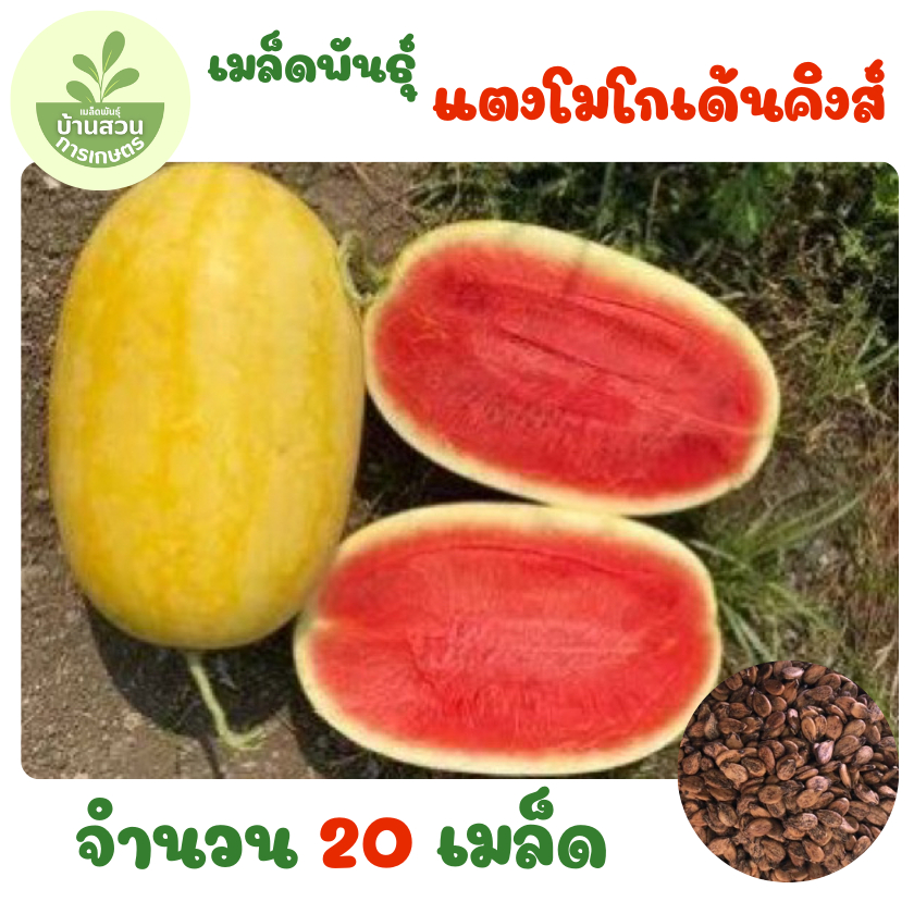 เมล็ดพันธุ์แตงโมโกเด้นคิงส์ จำนวน 20 เมล็ด