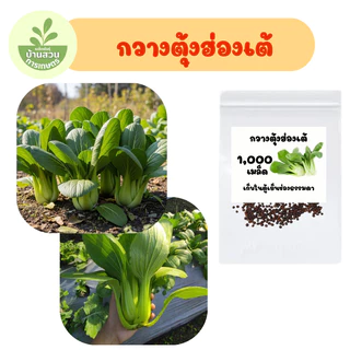 เมล็ดพันธุ์กวางตุ้งฮ่องต้ จำนวน 1,000 เมล็ด