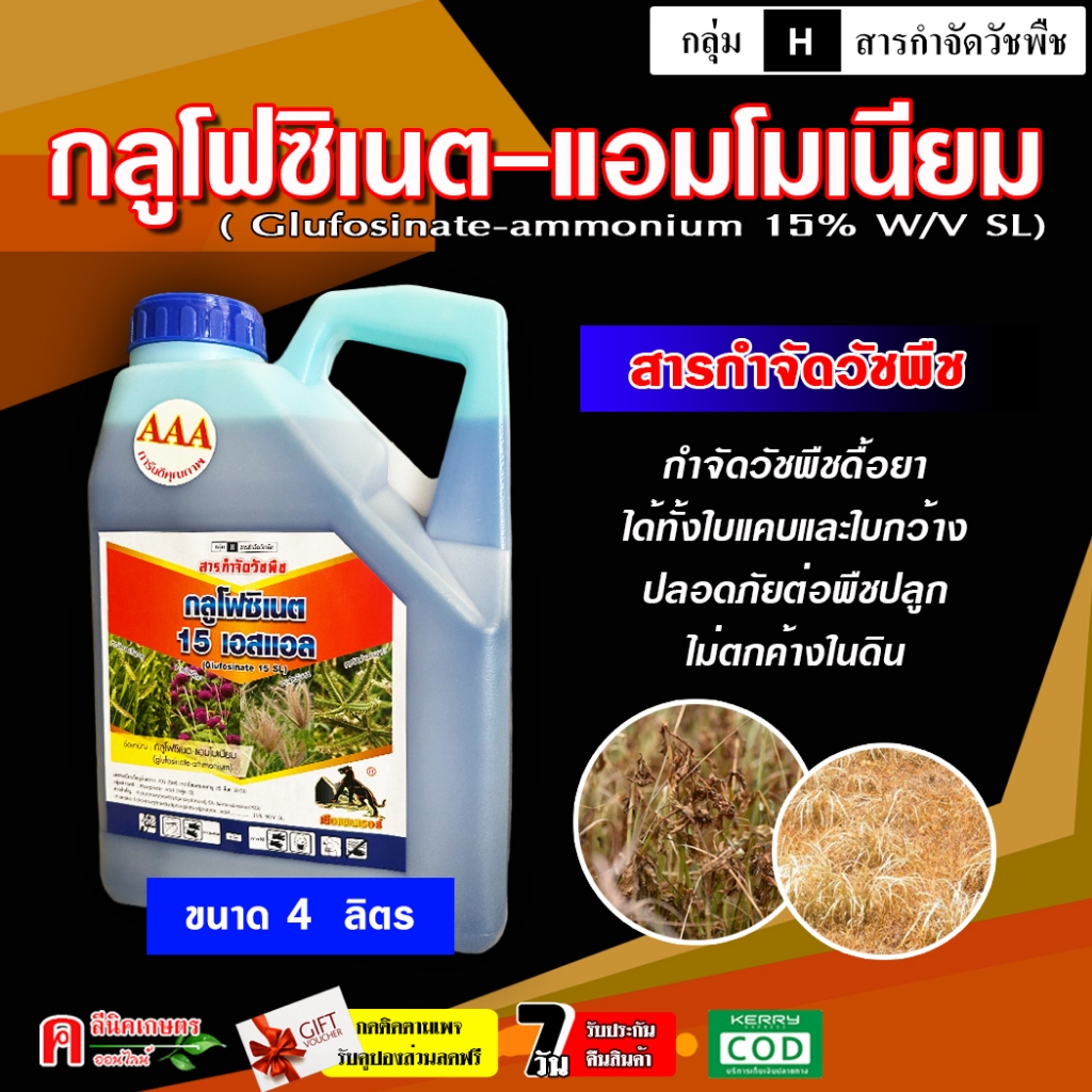 กลูโฟ AAA ( ขนาด 4 ลิตร ) กลูโฟซิเนต แอมโมเนียม ( สูตรเผาไหม้เร็ว )