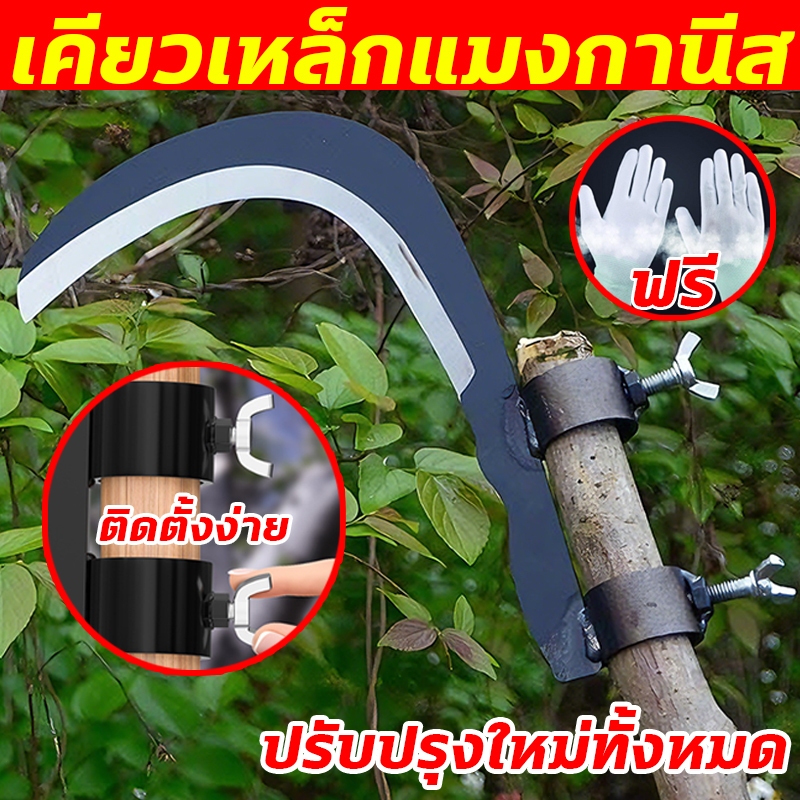 มีดขอเกี่ยวผลไม้ เคียวเกี่ยวผลไม้บนที่สูง ไม่ต้องปีนป่าย ให้เสี่ยงอันตราย เหล็กแมงกานีสขนาดใหญ่หนาคม ราคา ถูกที่สุด ดีลบีเคเค
