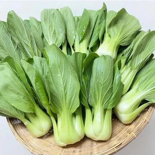 กวางตุ้งฮ่องเต้📌ถูกที่สุด10บ.🎯เมล็ดพันธุ์กวางตุ้งฮ่องเต้100-600เมล็ด🎯☘️งอกง่าย🌱 โตไว☘️ทานอร่อย