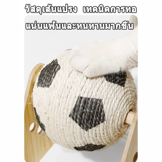 🐾😻 ที่ลับเล็บแมว คอนโดแมวใหญ่ 5in1 ของเล่นแมว วัสดุเส้นแปรง ฝนเล็บแมว ที่ฝนเล็บแมว ลับเล็บแมว แผ่นลับเล็บแมว แมวเล็บ
