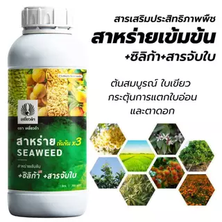 ฮอร์โมน [สาหร่ายทะเลเข้มข้นสูตรน้ำ] 1L ทำใบ ดึงดอก บำรุงต้น แก้ต้นโทรม ใบเหลือง ปุ๋ยน้ำ ปุ๋ยเหยี่ยวดำ