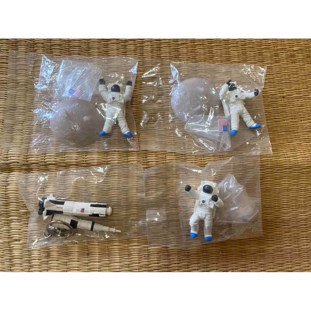 figure NASA x niko and …