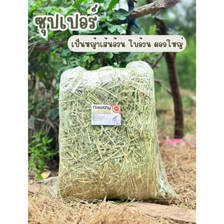 🐰หญ้ากระต่ายทิมโมธียกฟ่อน มีทั้งหมด 7เกรด เลือกซื้อได้ตามความต้องการนะคะ