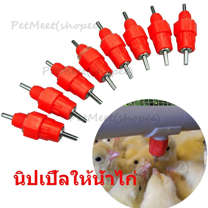 ถูก นิปเปิ้ลให้น้ำไก่ นิปเปิ้ลให้น้ำอัตโนมัติ ที่ให้น้ำสัตว์ รุ่นตรง แข็งเเรงทนทาน ทำความสะอาดง่าย
