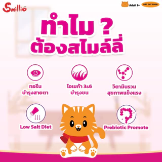 Smillie สไมล์ลี่ อาหารแมว รสทูน่า ขนาด 1 KG