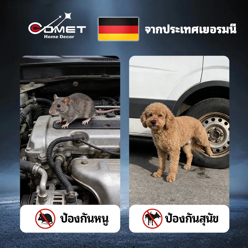 รูปภาพ 4