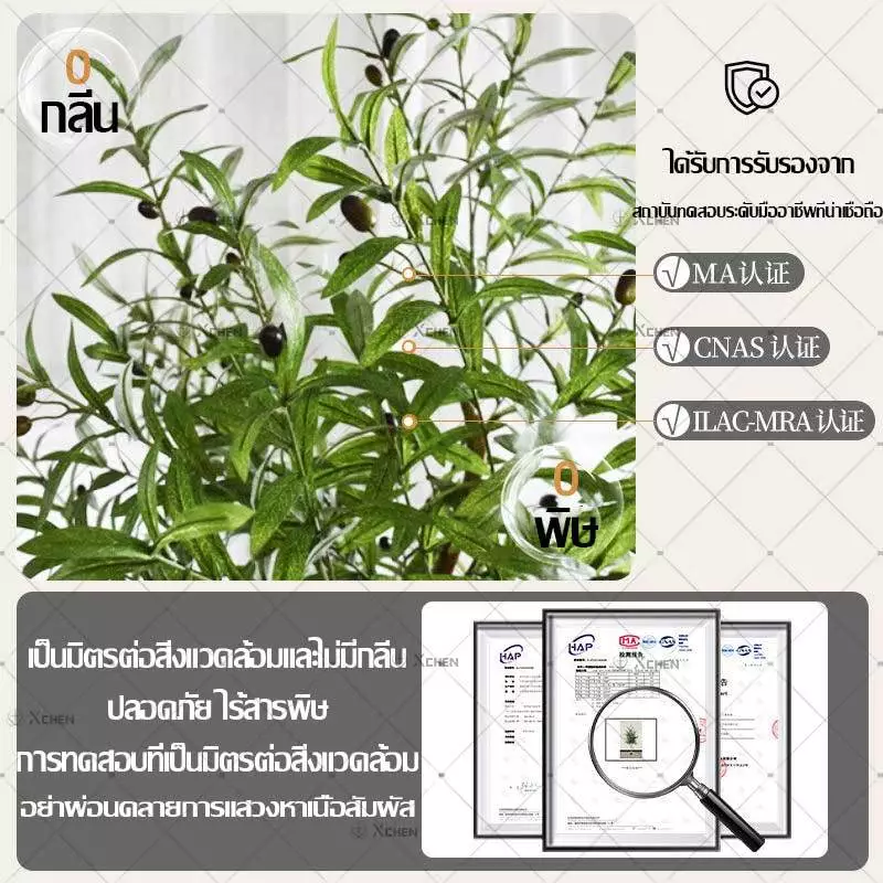 ต้นโอลีฟปลอม ต้นมะกอกประดิษฐ์ ลำต้นเหมือนจริง ตกแต่งบ้าน thumbnail 6
