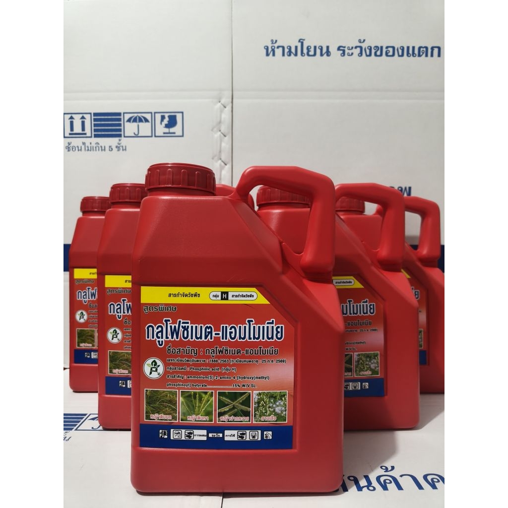 🍁กลูโฟสิเนตแอมโมเนียม🍁(สูตรพิเศษ)ยกลัง6แกลอนชนิดเผ้าไหม้(แกลอยเเดง) ฆ่าทั้งหญ้าใบเเคบใบกว้าง