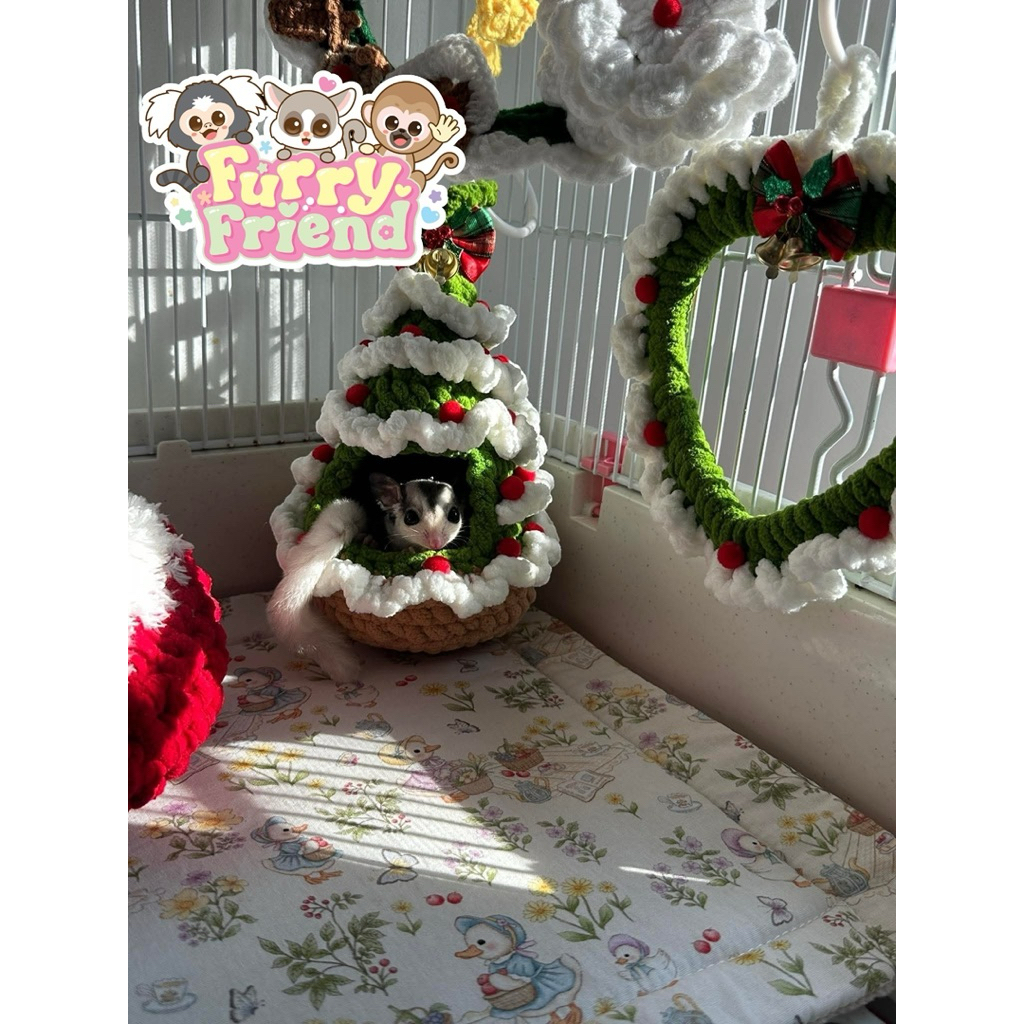 🎅🎄 Christmas Cozy จาก Furry Friend 🎄🎅