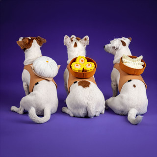 ชุดสัตว์เลี้ยงเซ็ทอาหารมงคล -2026