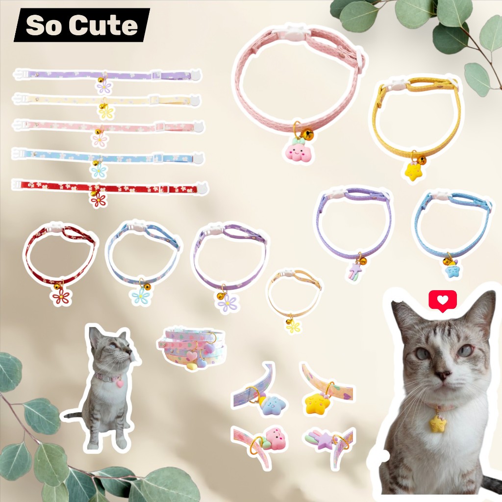(A01)(พร้อมส่งจากไทย!!) ปลอกคอนิรภัยจี้หัวใจและดอกไม้สีพาสเมล สีสวยละมุนมาก ปลอกคอแมว-สุนัข ราคาถูกมากๆ