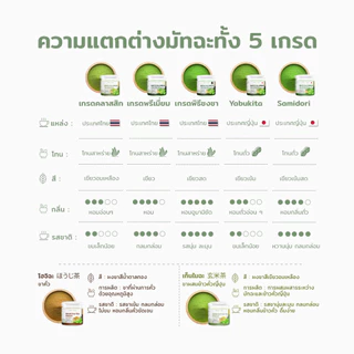 ผงชาเขียวมัทฉะ มีอย. แท้ ไม่ผสมแป้งและน้ำตาล จากเกษตรกรไทย แบรนด์ไร่พระจันทร์( Matcha powder ชาเชียว ผงมัทฉะ มัทฉะผง)