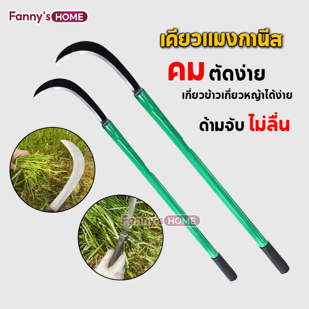 💥พร้อมส่ง💥เคียวแมงกานีส 60CM คมกริบ มีดขอ เหล็กแมงกานีส 40/60ซม. เคียวเกี่ยวหญ้า เกี่ยวข้าว เคียวตัดกิ่ง ด้ามยาว แข็งหนา