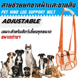 PetSafe สายรัดขาหลังสุนัข ปรับได้ สำหรับสัตว์เลี้ยงทุกขนาด ช…