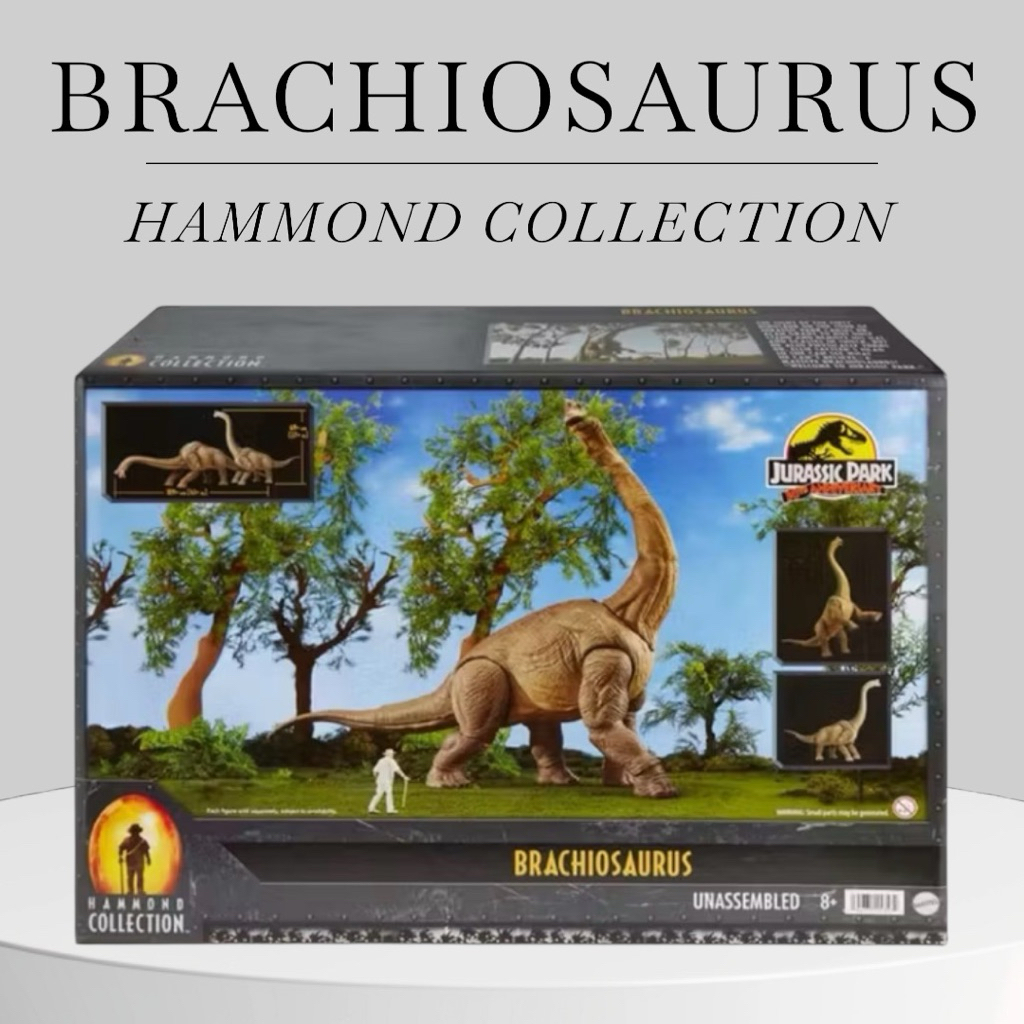 ไดโนเสาร์แบรคิโอซอรัส🦠 BRACHIOSAURUS 🦠จูราสสิค เวิลด์  รุ่นฉลองครบรอบ 30 ปี JURASSIC PARK ✨  HAMMOND COLLECTION