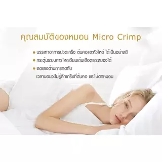 หมอนขนาดมาตรฐาน (19x29 นิ้ว) รุ่น Standard Soft (เส้นใย Micro Crimp)
