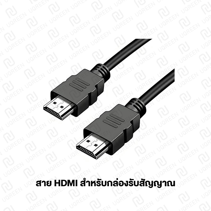 รูปภาพ 3