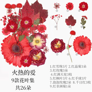 【 😍 มีหลายสไตล์ให้เลือก】 40 ชิ้นความจุขนาดใหญ่ดอกไม้แห้งลายนูนชุดกุหลาบดอกทานตะวันใบไม้รวมกันราคาไม่แพงมาก