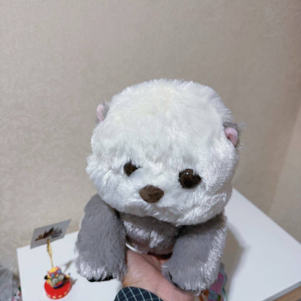( NEW 🌟 พร้อมส่ง ) ₊˚⊹♡ ตุ๊กตา นาก Uki Uki Grey Rakko Nesoberi Fluffy Otter Plush  ลิขสิทธิ์แท้ From