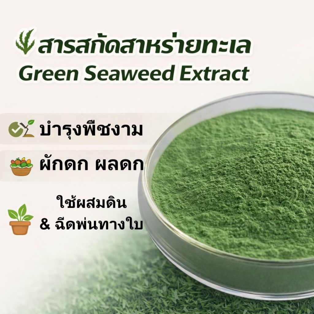 Fast Grow Seaweed Extract ปุ๋ยอินทรีย์ สาหร่ายทะเลสกัด เร่งราก กระตุ้นการเจริญเติบโต เพิ่มผลผลิต 100 กรัม 500 กรัม 1 ก.ก