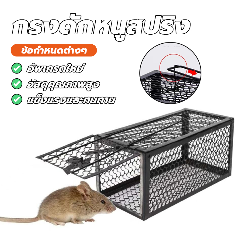 กับดักหนูสปริงคู่หนา กรงดักหนูสปริง กรงดักหนูพร้อมกรอบ ทาสีเพื่อป้องกันสนิม ใช้งานง่าย นำกลับมาใช้ใหม่ได้