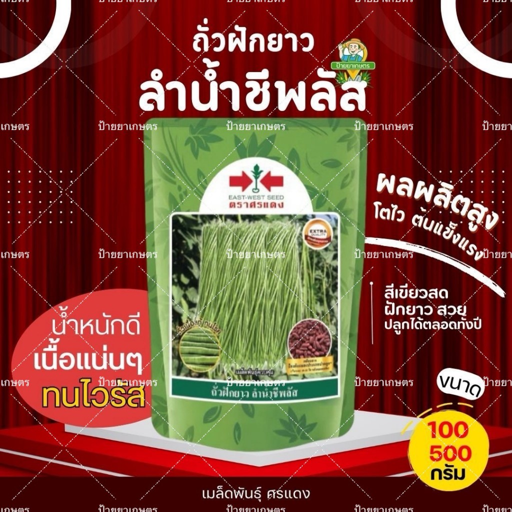 ถั่วฝักยาว ลำน้ำชีพลัส เมล็ดถั่วฝักยาว บรรจุ 100กรัม 500กรัม ตราศรแดง