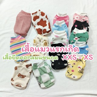 📌เสื้อแมวแรกเกิด XXS,XS เสื้อยืดคอกลม สำหรับน้องแมว น้องหมาแ…